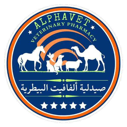 alfavetq8.com